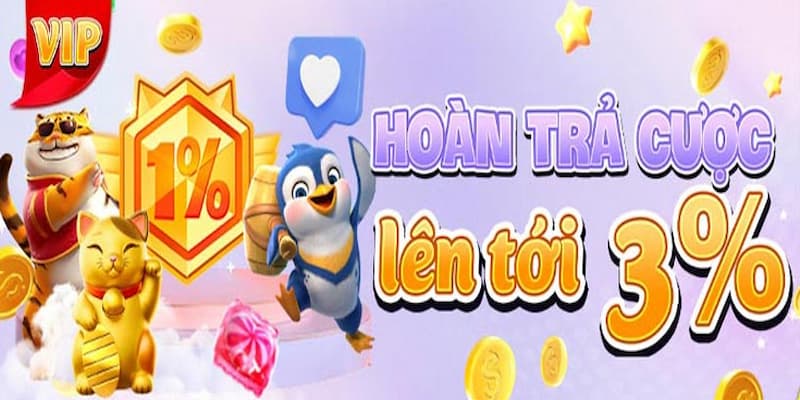 Hoàn Trả Cược Hoàn Trả Cược là Gì và Tại Sao Nó Quan Trọng?